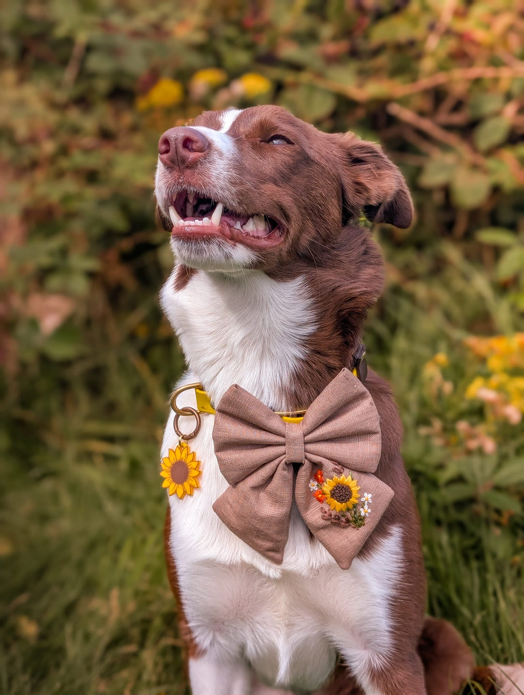 Sunflower Tag