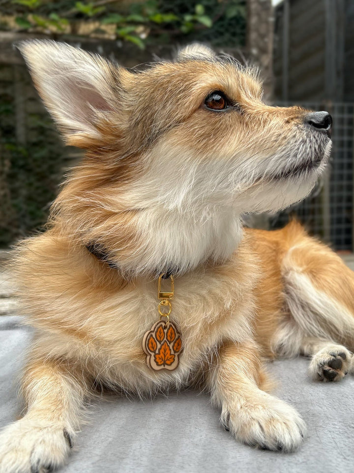 Smart NFC Autumn Paw Tag