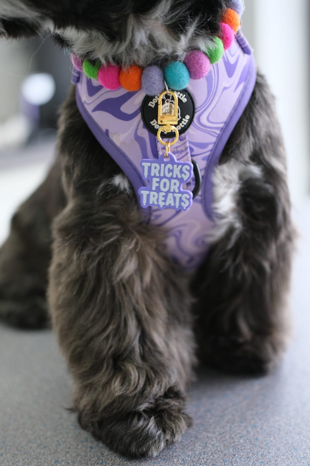 Tricks For Treats Tag