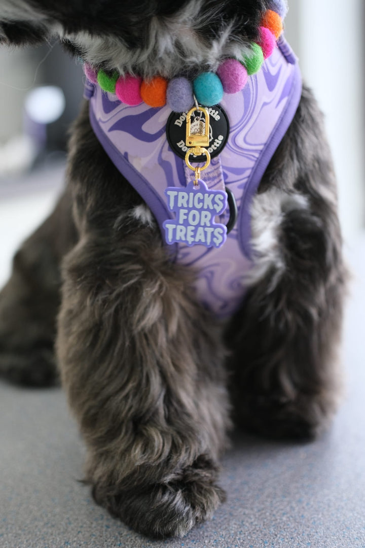 Tricks For Treats Tag