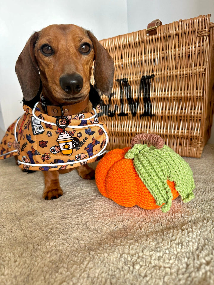 Pumpkin Spiced Latte Tag