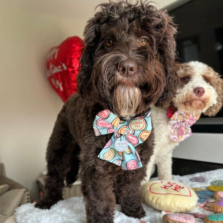 Sweetheart Tag