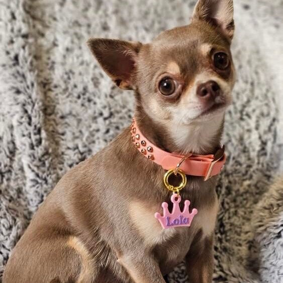 Crown Tag