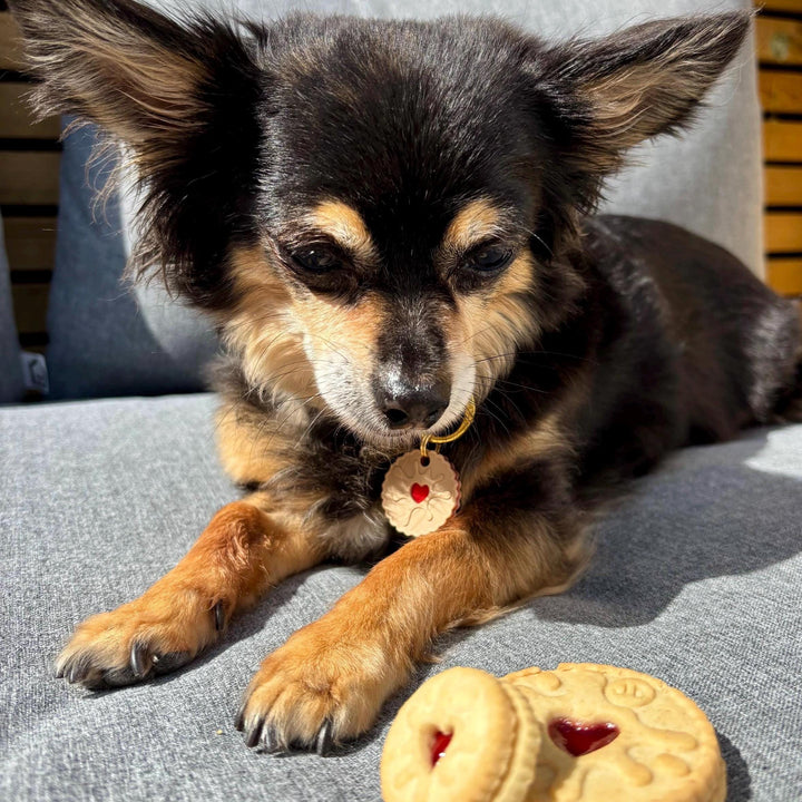Jammie Biscuit