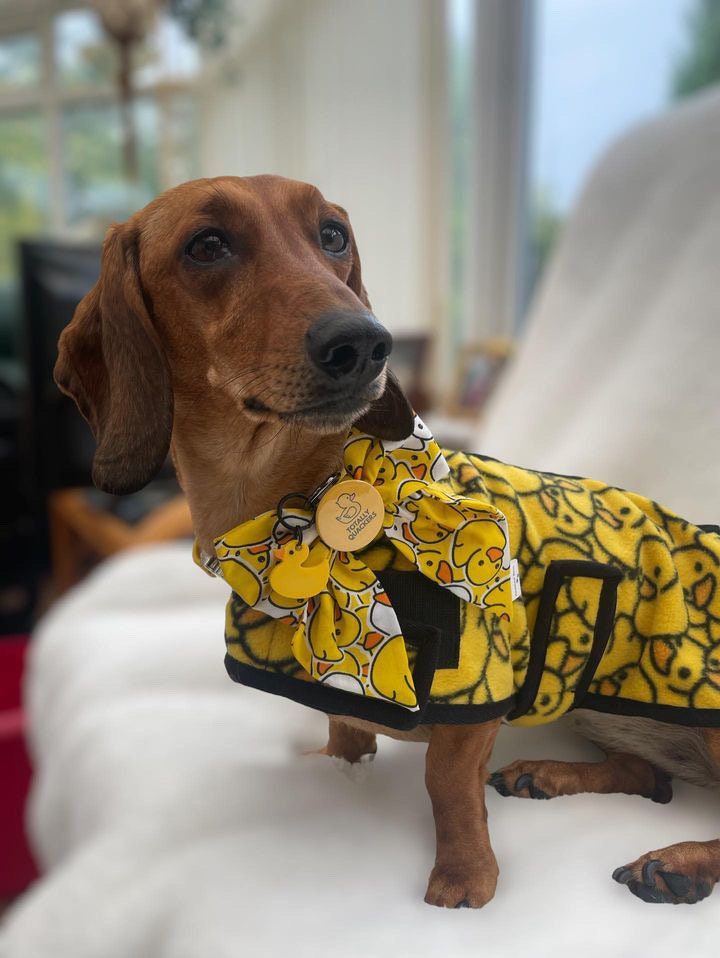 Duckie Tag