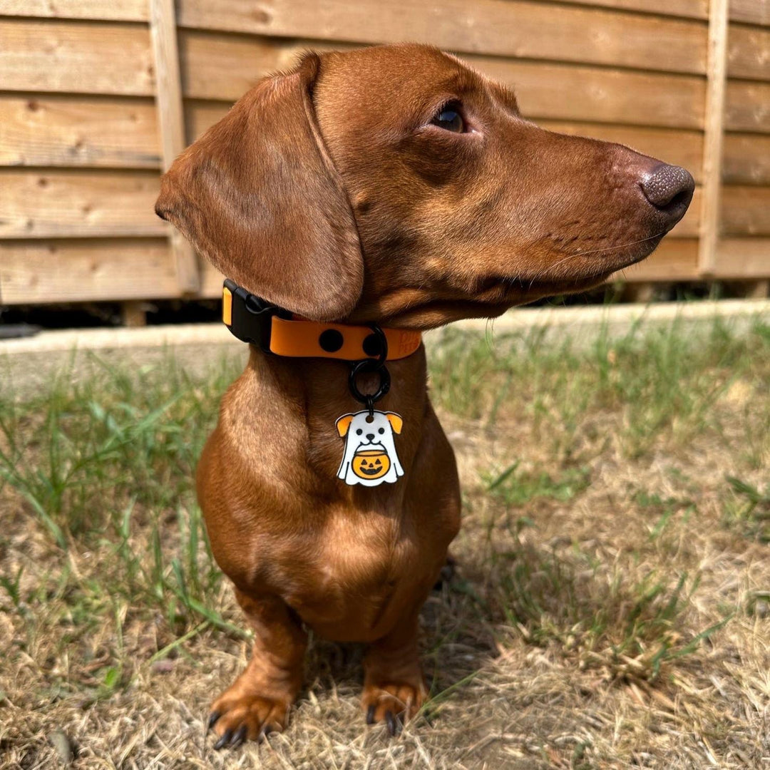 Ghost Dog Tag