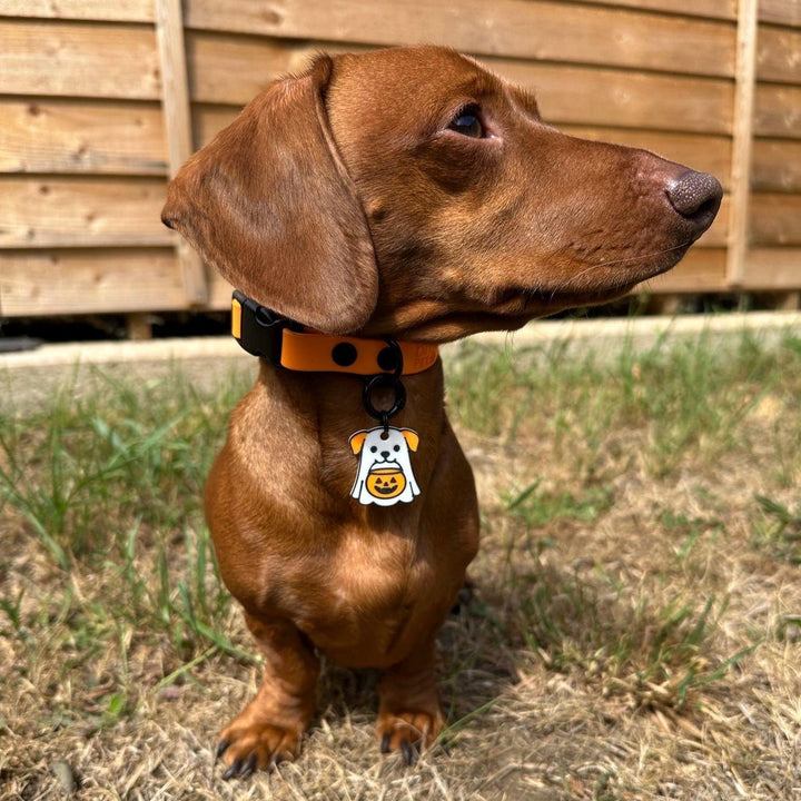 Ghost Dog Tag