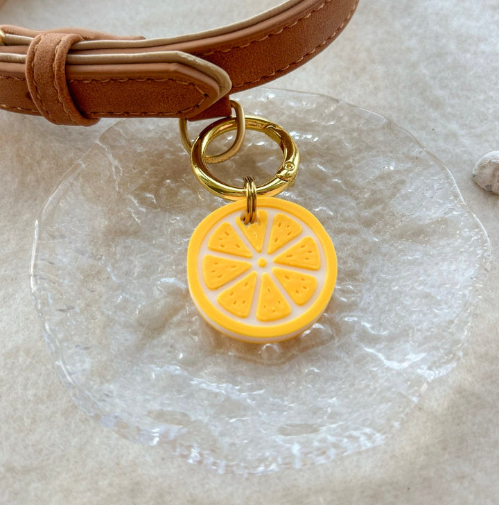 Citrus Slice