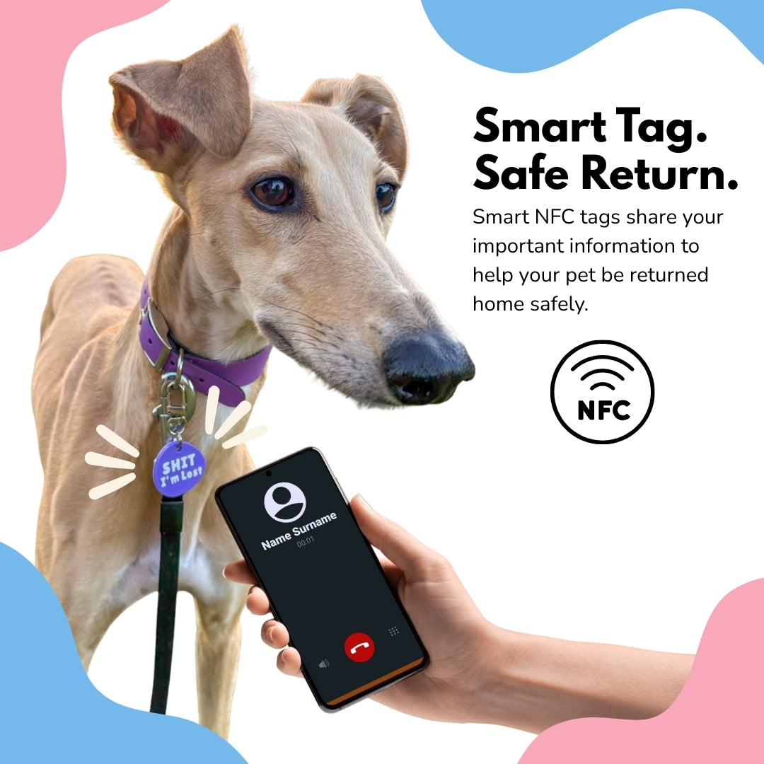 SHIT I'm Lost - Smart NFC Tag