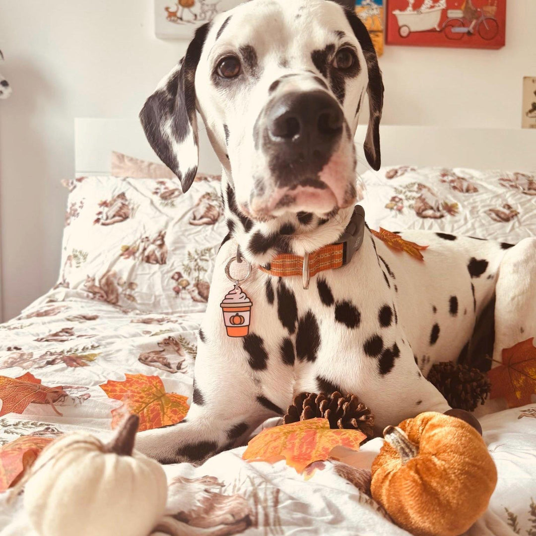 Pumpkin Spiced Latte Tag
