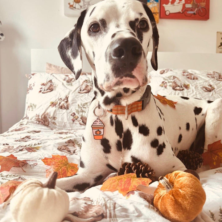 Pumpkin Spiced Latte Tag