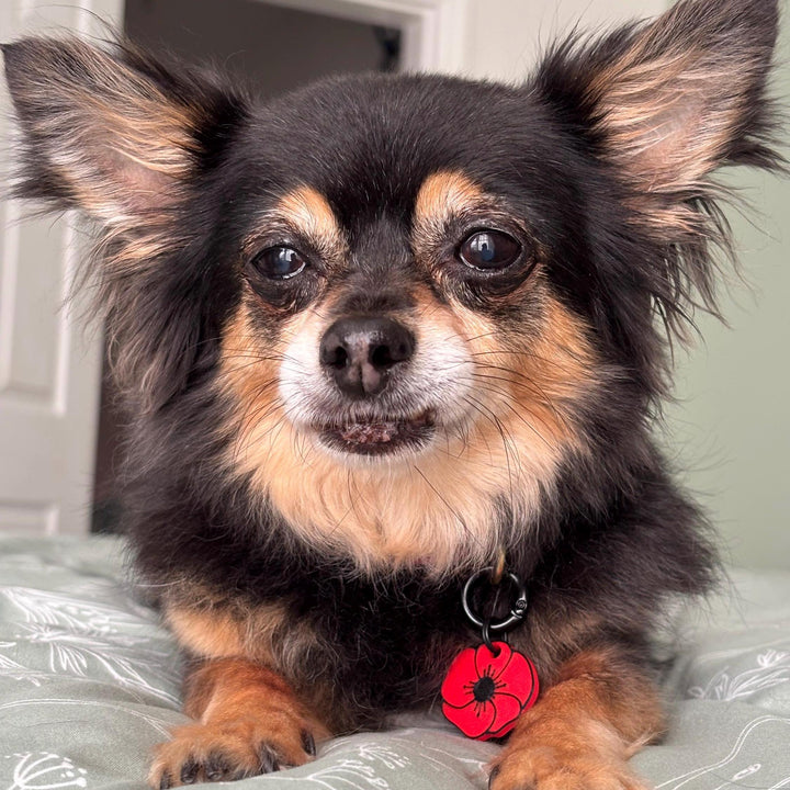 Poppy Tag