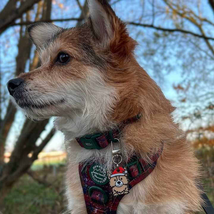 Christmas Dog Breed Tag