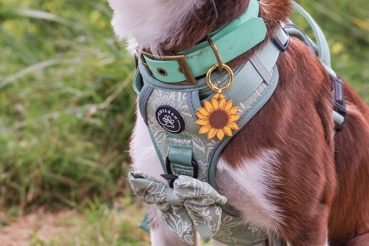Sunflower Tag
