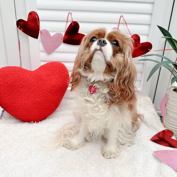 Heart Tag