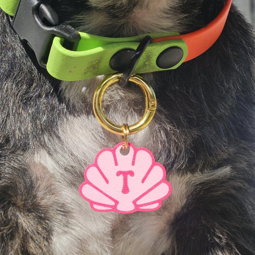 Shell Tag