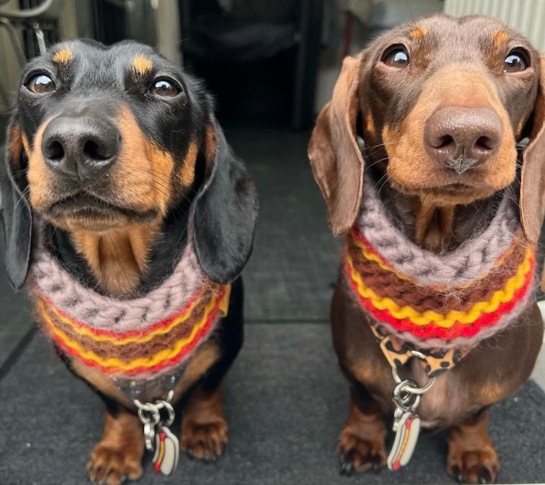 Hot Dog Tag