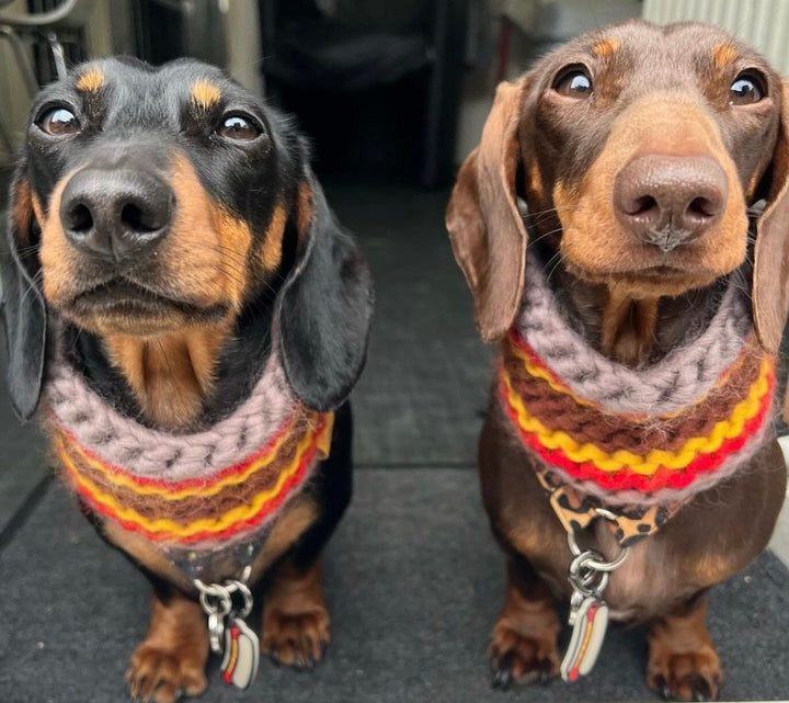 Hot Dog Tag