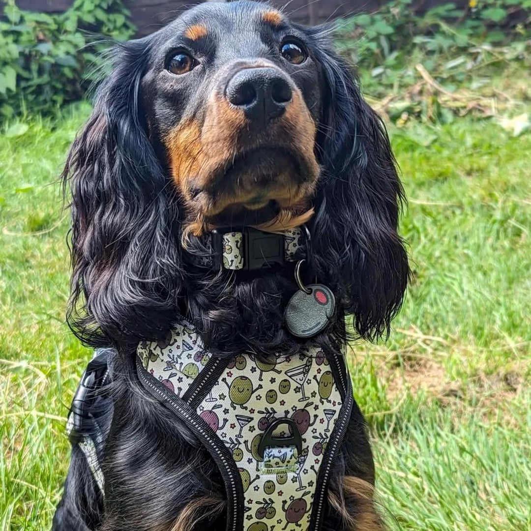 Olive Tag