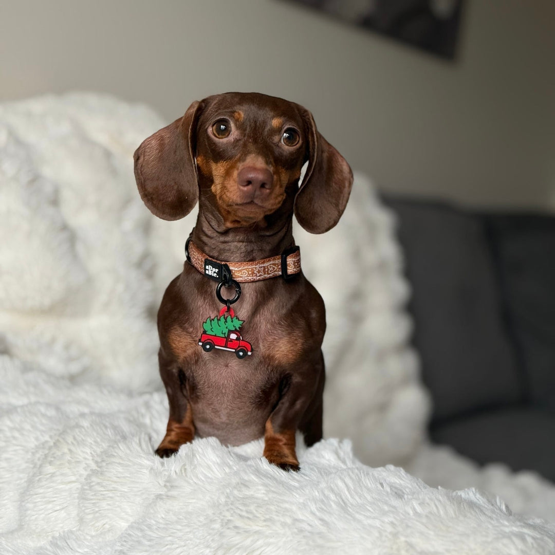 Red Truck Hauling A Christmas Tree Tag