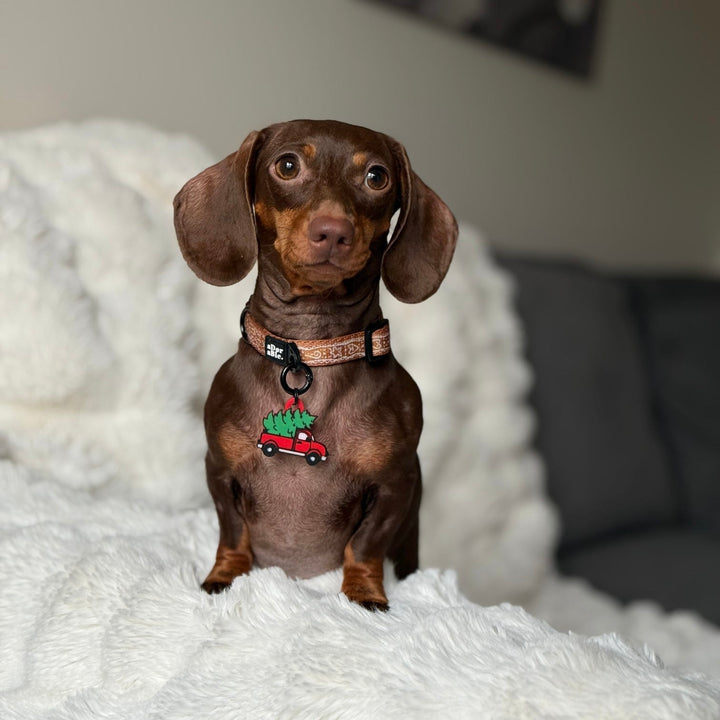 Red Truck Hauling A Christmas Tree Tag