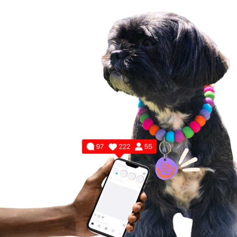 Dog wearing a colorful collar with a smartphone displaying social media icons, on a white background