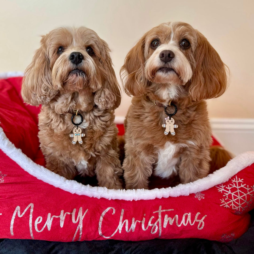 Gingerbread Person Tag