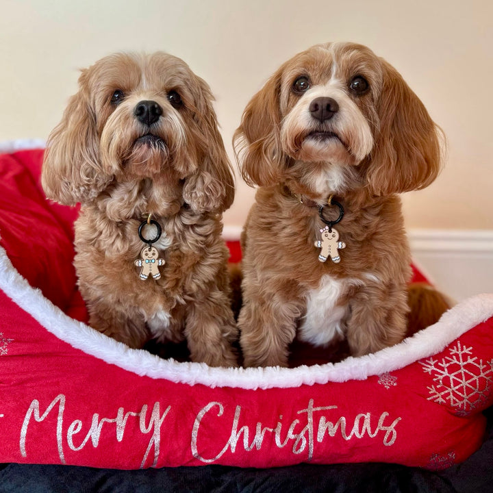 Gingerbread Person Tag