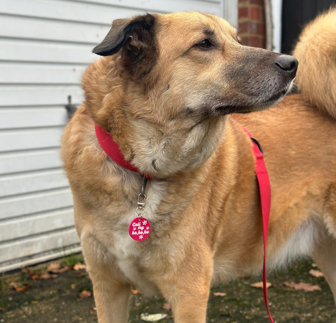 Call My Ho Ho Ho - Smart NFC Tag