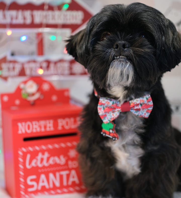 Red Truck Hauling A Christmas Tree Tag