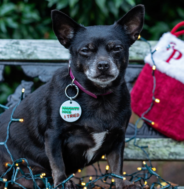 Naughty Nice - Smart NFC Tag