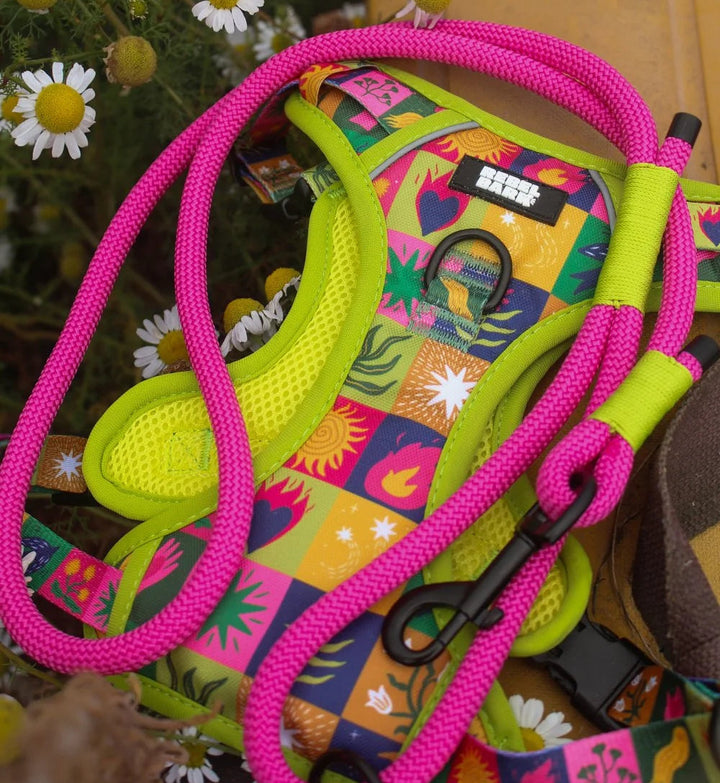 Ladybird Tag - Rebel Bark Collab