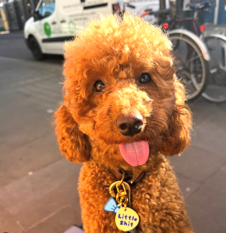 Little Shit - Smart NFC Tag