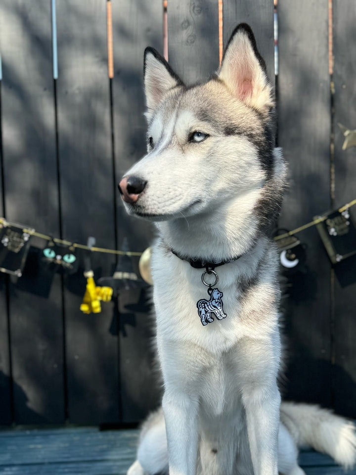 Skeledog Tag