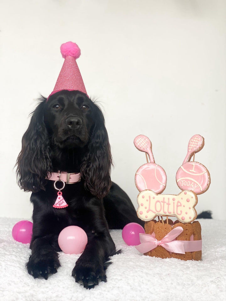 Birthday Party Hat