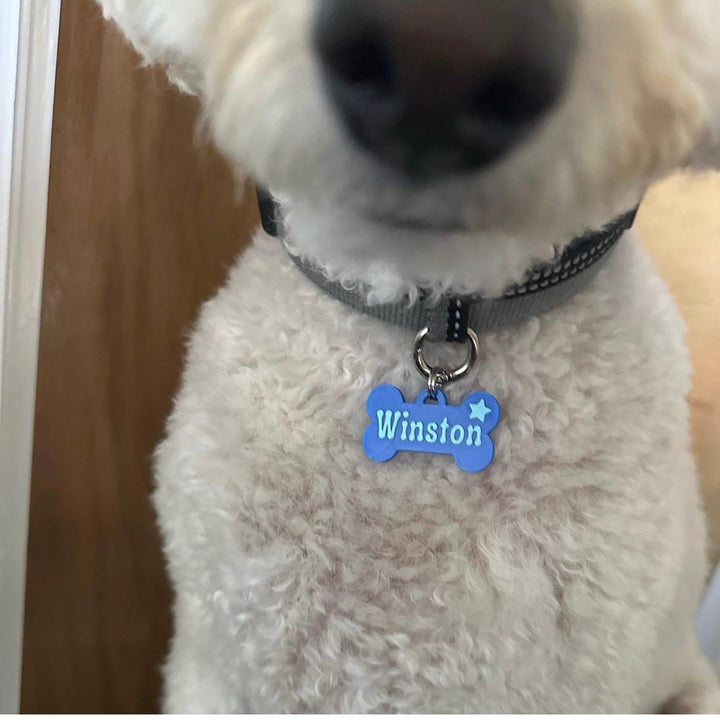 Bone Tag
