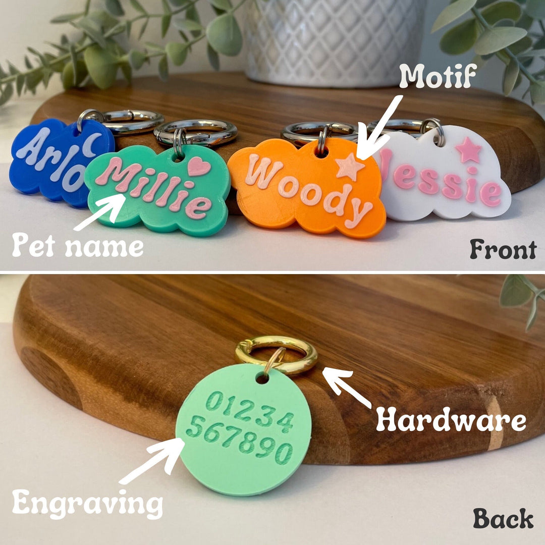 Dinosaur Tag