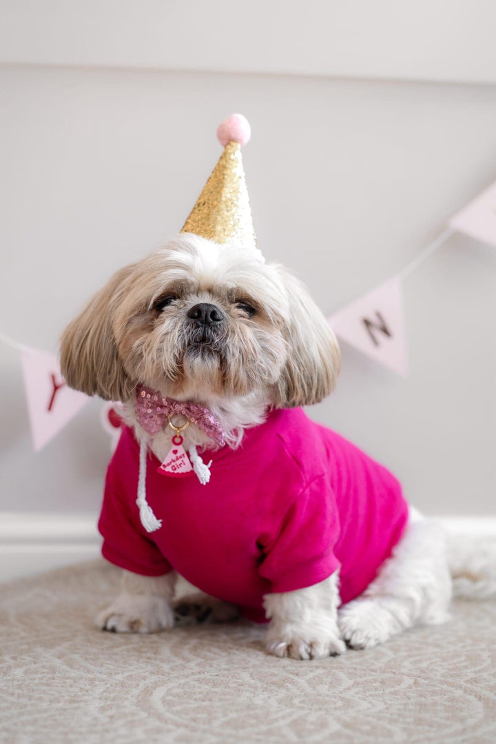 Birthday Party Hat